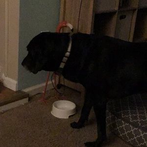 Meet your Posher, Linda